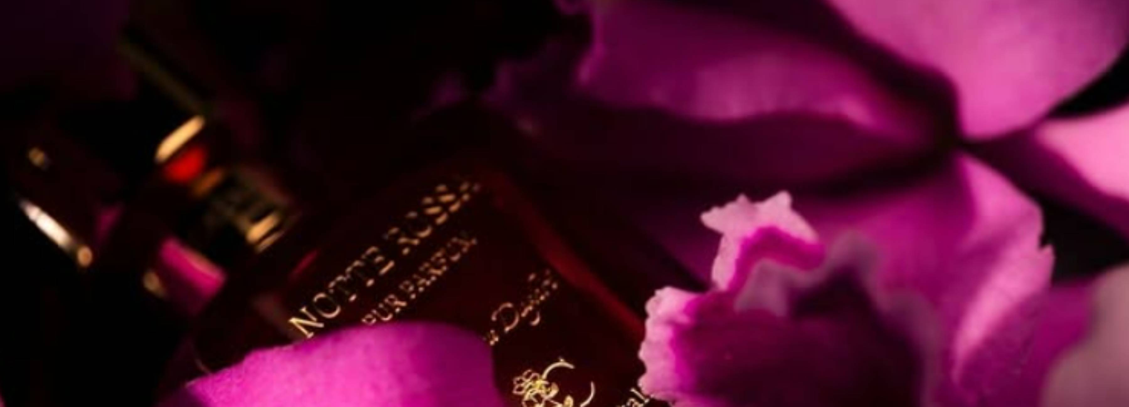 The image shows a niche perfume bottle by MAISON CATALIYA, elegantly integrated into a floral setting. The dark bottle is partially hidden behind large flowers with bright purple petals. The soft lighting highlights the textures of the flowers and the bottle, creating a romantic and luxurious atmosphere. The gold details on the bottle add a touch of sophistication. The whole composition evokes a sensual and enchanting atmosphere, drawing the eye to the fragrance while highlighting the beauty of the flowers.